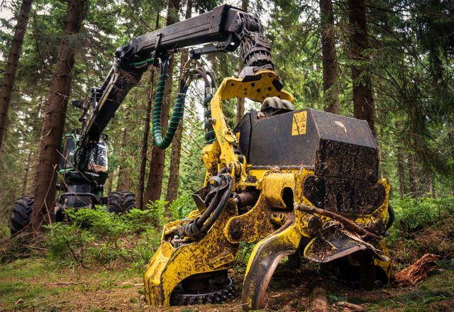Forestry machine working in a pine forest