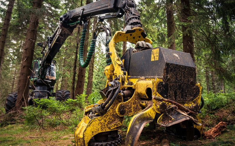 Forestry machine working in a pine forest